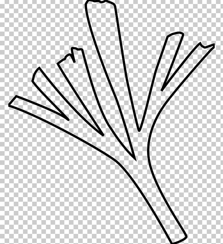 Line Art Black And White Drawing PNG, Clipart, Angle, Art, Black, Black And White, Branch Free PNG Download