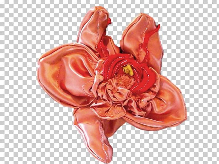 Cut Flowers Petal PNG, Clipart, Cut Flowers, Feminist, Flesh, Flower, Freshman Free PNG Download