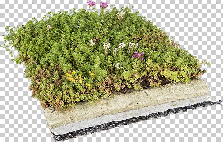 Green Roof Dachdeckung Architectural Engineering Roof Garden PNG, Clipart, Architectural Engineering, Canopy, Dachdeckung, Flat Roof, Flowerpot Free PNG Download