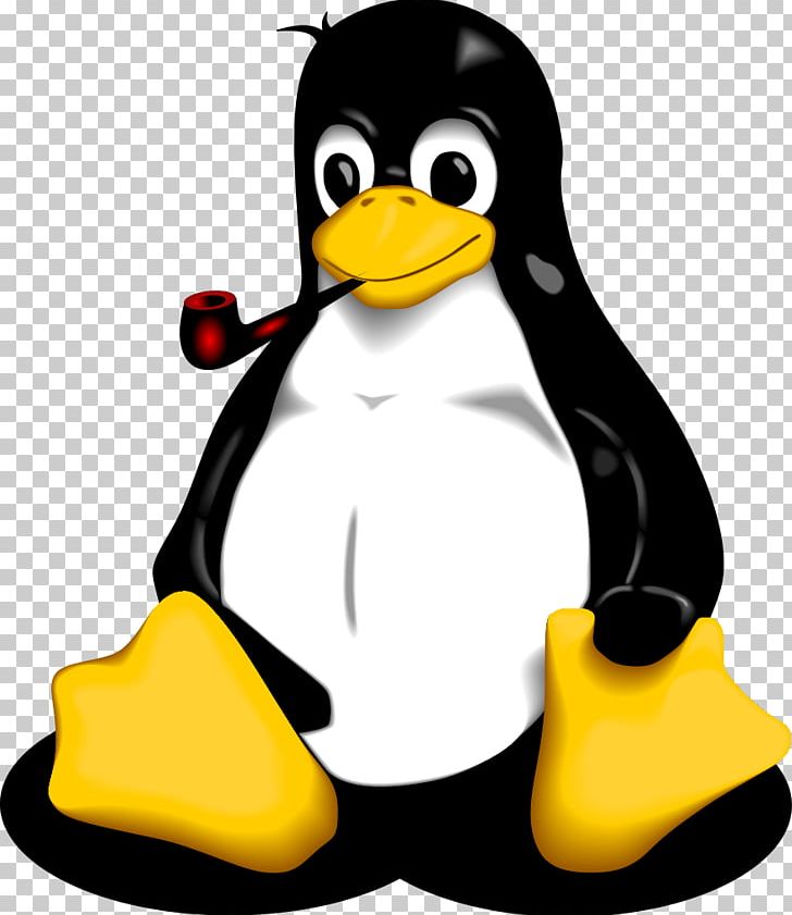 Tuxedo History Of Linux Penguin PNG, Clipart, Artwork, Beak, Bird, Brand, Flightless Bird Free PNG Download