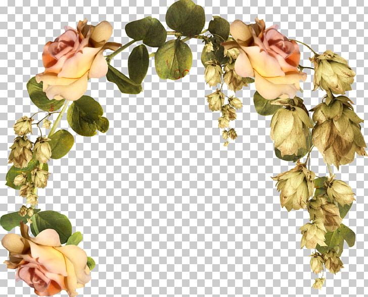 Cut Flowers Floral Design Blume PNG, Clipart, Artificial Flower, Blossom, Blume, Branch, Cut Flowers Free PNG Download