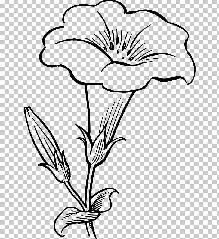 Flower Drawing White PNG, Clipart, Art, Artwork, Black And White, Black Rose, Cut Flowers Free PNG Download
