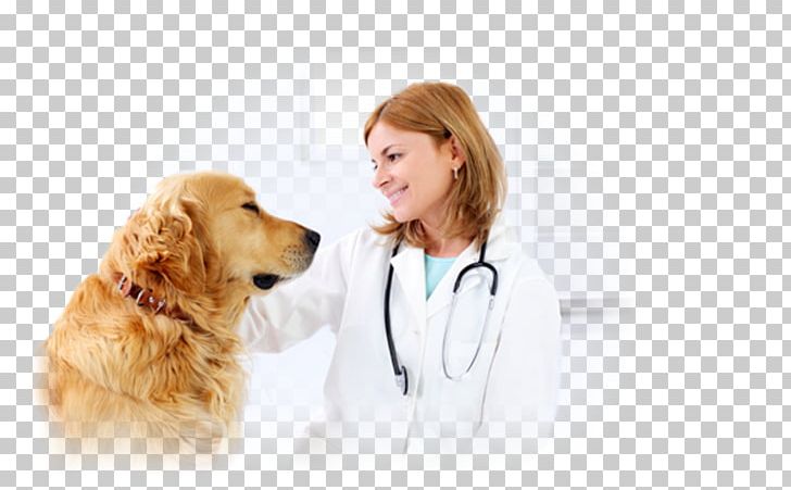 Dog Veterinarian Veterinary Medicine Cat Paraveterinary Worker PNG, Clipart, Animal, Animals, Companion Dog, Dog Breed, Dog Like Mammal Free PNG Download