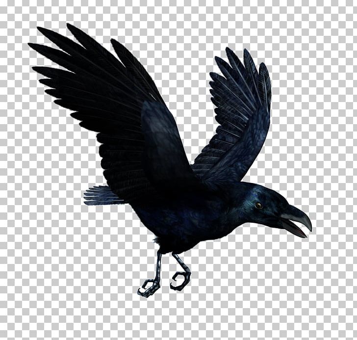 T-shirt Hoodie Lower-back Tattoo PNG, Clipart, American Crow, Animals, Beak, Bird, Bird Of Prey Free PNG Download