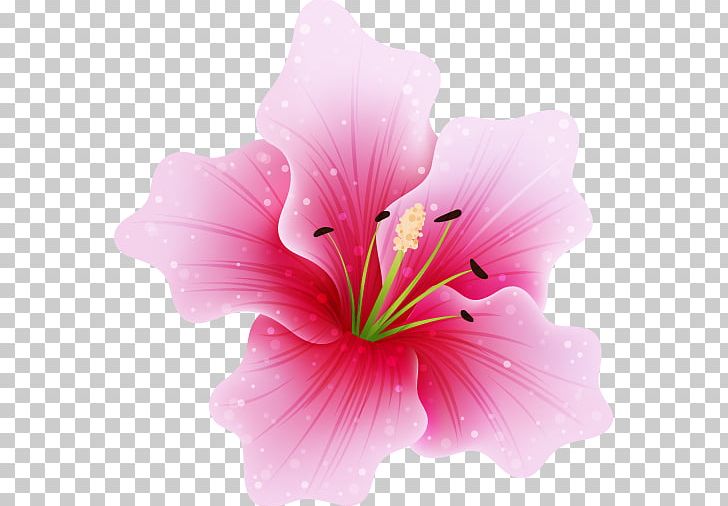 Pink Flowers Fuchsia PNG, Clipart, Clip Art, Color, Flower, Flower Bouquet, Flowering Plant Free PNG Download
