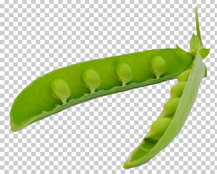 Snap Pea Icon PNG, Clipart, Computer Icons, Food, Free, Fruit, Gimp Free PNG Download