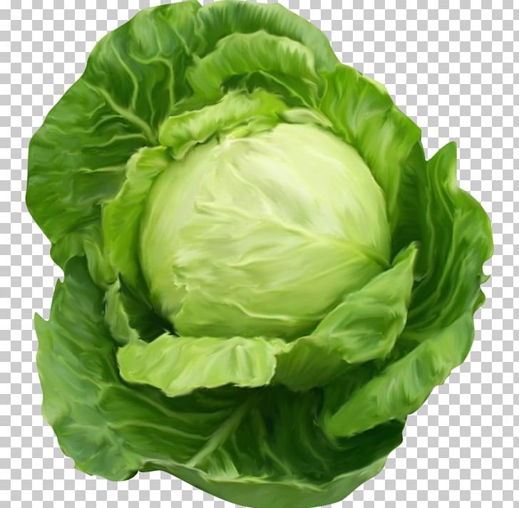 Cabbage Vegetable PNG, Clipart, Cabbage, Cabbage Cartoon, Cabbage Leaves, Cartoon Cabbage, Cauliflower Free PNG Download