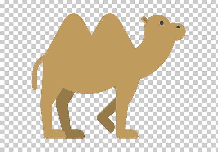 Camel Cartoon PNG, Clipart, Animal, Animals, Arabian Camel, Art, Black And White Free PNG Download