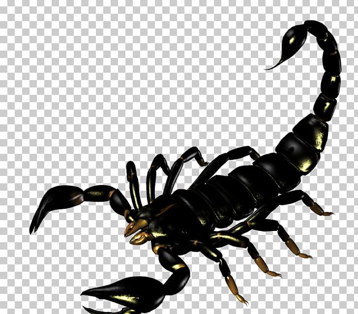 Scorpion Silhouette PNG, Clipart, Arthropod, Black Scorpion, Cartoon, Download, Drawing Free PNG Download
