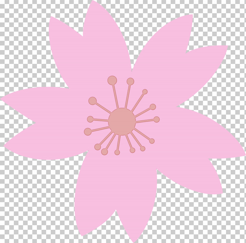 Pink Petal Flower Plant Wildflower PNG, Clipart, Cherry Flower, Floral, Flower, Magenta, Paint Free PNG Download