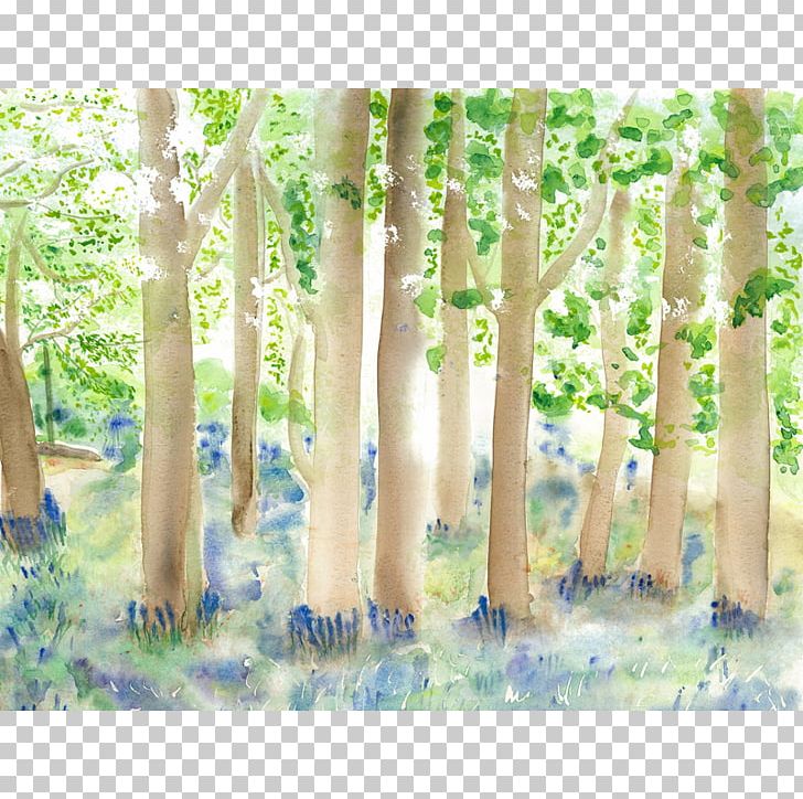 Art Museum Painting Flowers Gallery PNG, Clipart, Art, Art Museum, Bluebell Wood, Branch, Ecosystem Free PNG Download