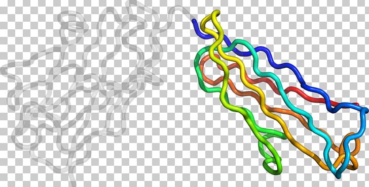 Organism Line PNG, Clipart, Area, Art, Line, Organism, Pyruvate Kinase Free PNG Download