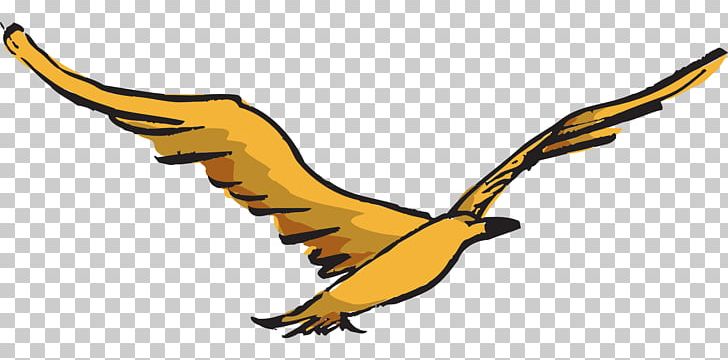 Bird Flight Bird Flight Airplane PNG, Clipart, Airplane, Animal Figure, Animals, Animation, Beak Free PNG Download