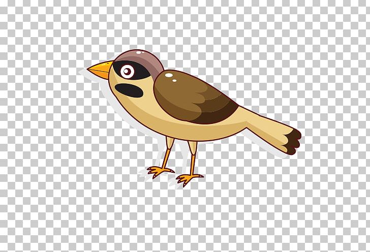 Bird Parrot PNG, Clipart, Animals, Balloon Cartoon, Beak, Bird, Birds Free PNG Download