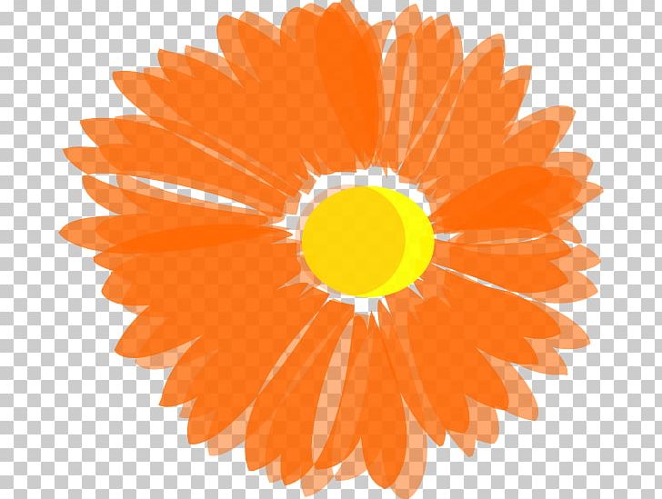 Flower Orange PNG, Clipart, Calendula, Circle, Color, Computer Icons, Daisy Family Free PNG Download