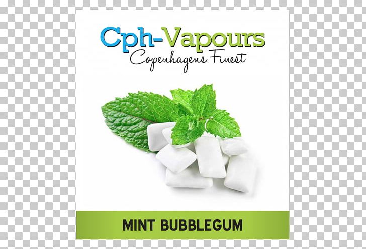Chewing Gum Peppermint Mentha Spicata Bubble Gum PNG, Clipart,  Free PNG Download