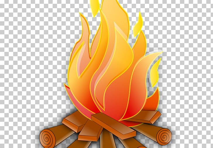 Fire PNG, Clipart, Campfire, Computer Wallpaper, Download, Fire, Fire Cartoon Free PNG Download