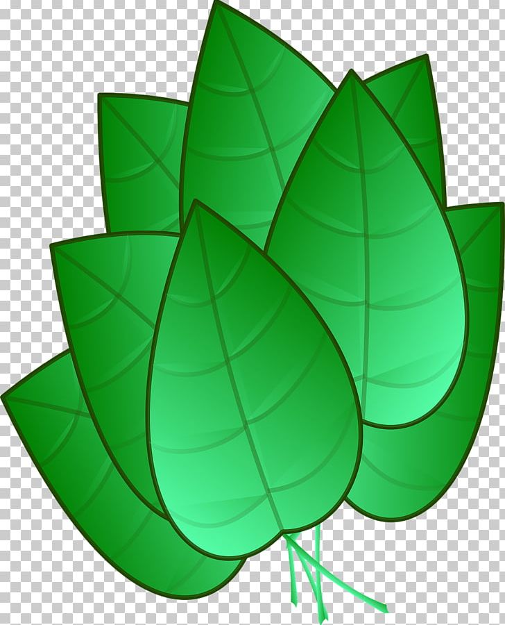 Leaf Drawing PNG, Clipart, Bunch, Circle, Cluster, Download, Drawing Free PNG Download
