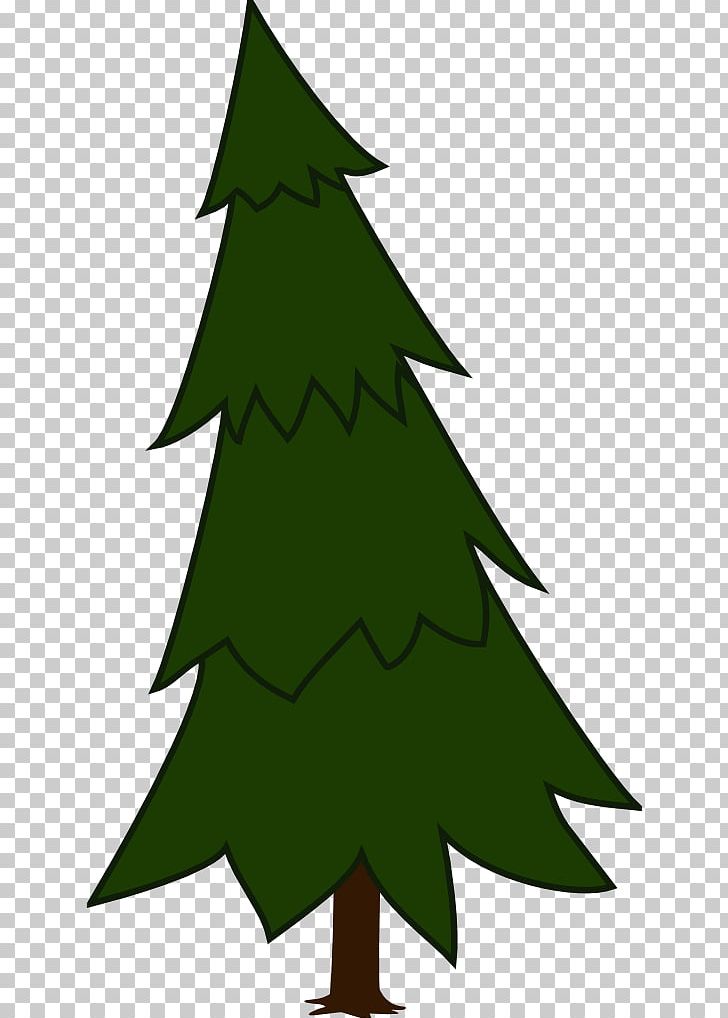 Pine Tree Spruce PNG, Clipart, Beak, Bird, Black Pine, Branch, Cartoon Picture Of A Tree Free PNG Download