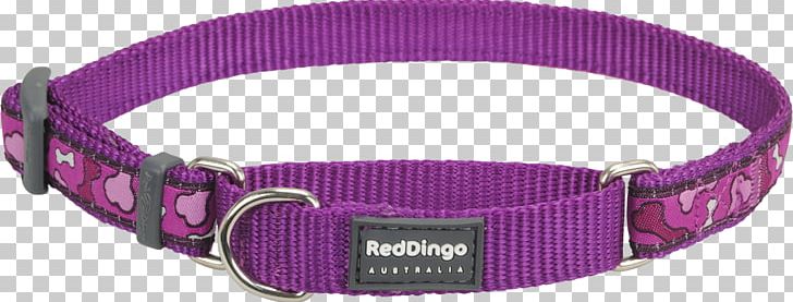 Dog Collar Dingo Martingale PNG, Clipart, Buckle, Choker, Collar, Dingo, Dog Free PNG Download