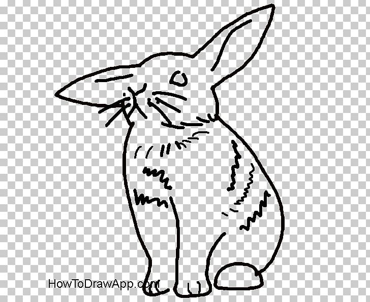 Domestic Rabbit Hare Whiskers Drawing PNG, Clipart, Animals, Black And White, Cat Like Mammal, Drawing, Fauna Free PNG Download