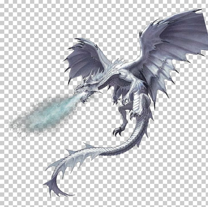 Dungeons & Dragons Pathfinder Roleplaying Game White Dragon D20 System PNG, Clipart, Beak, D20 System, Dragon, Drawing, Dungeons Dragons Free PNG Download