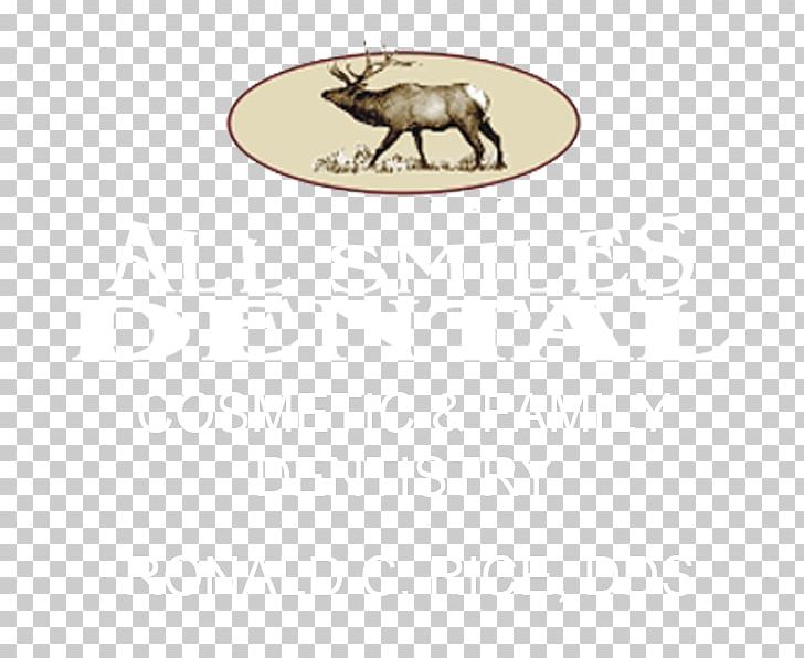 Fauna Oval Animal PNG, Clipart, Animal, Fauna, Oval, Table Free PNG Download