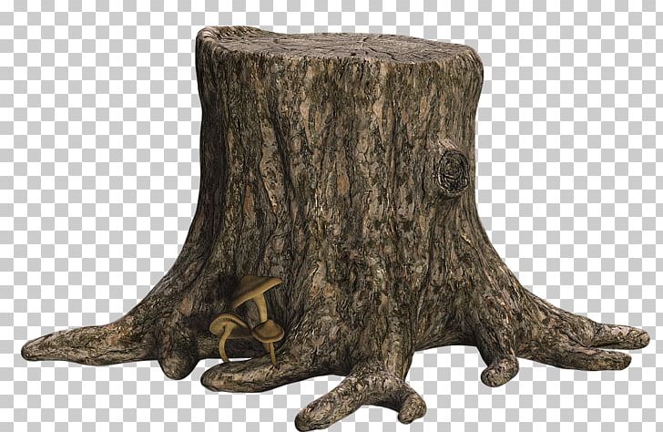 Tree Stump Trunk PNG, Clipart, Editing, Fundal, Nature, Photography, Picsart Photo Studio Free PNG Download