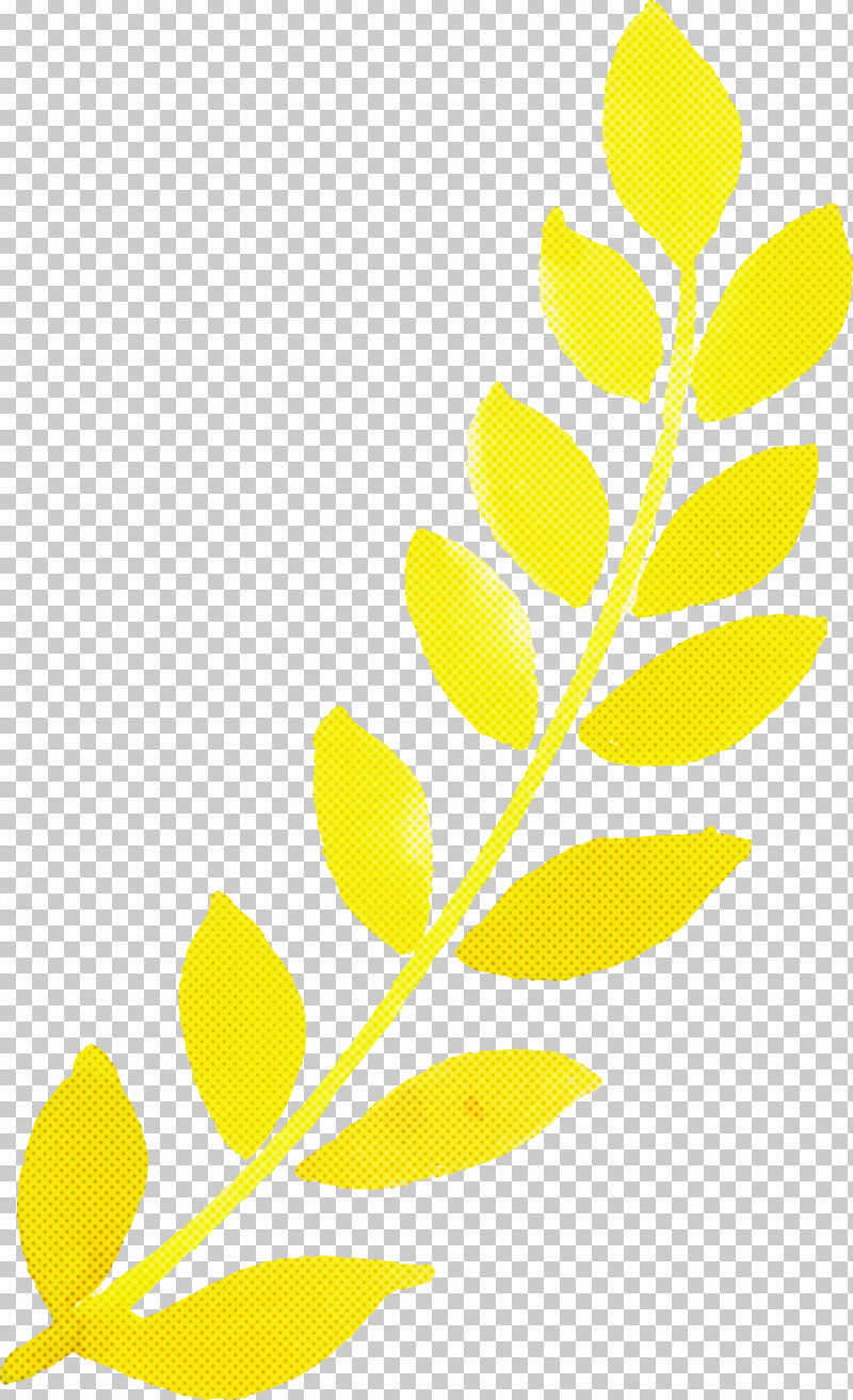 Leaf Plant Stem Twig Petal Yellow PNG, Clipart, Commodity, Flora, Flower, Leaf, Line Free PNG Download