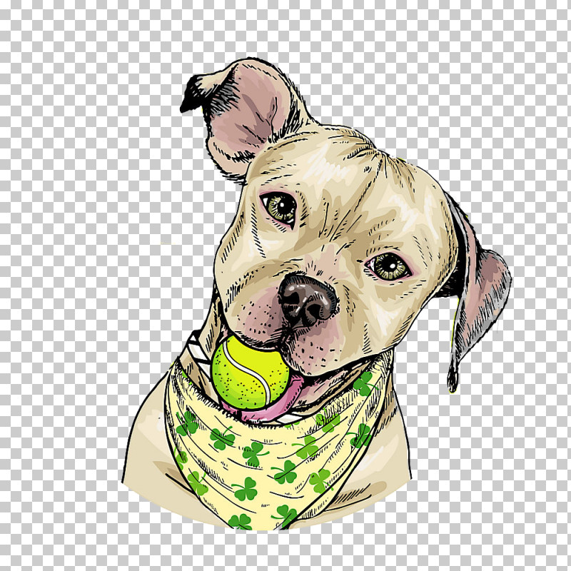 Dog Snout Pit Bull American Pit Bull Terrier Dog Collar PNG, Clipart, American Pit Bull Terrier, Dog, Dog Collar, Nonsporting Group, Pit Bull Free PNG Download