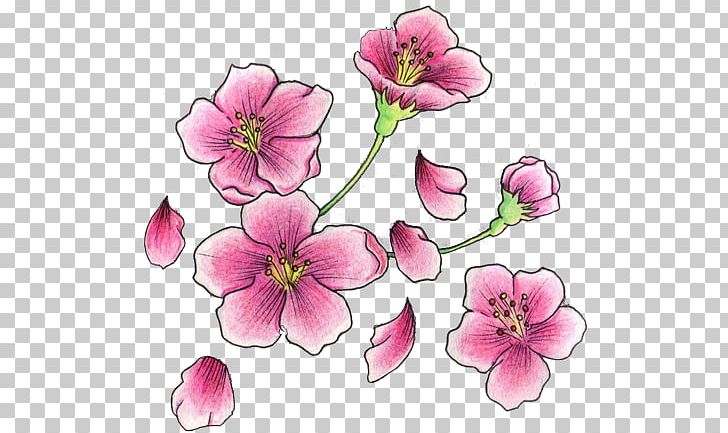 Cherry Blossom Tattoo Flash PNG, Clipart, Art, Blossom, Cherry, Cherry Blossom, Creativity Free PNG Download