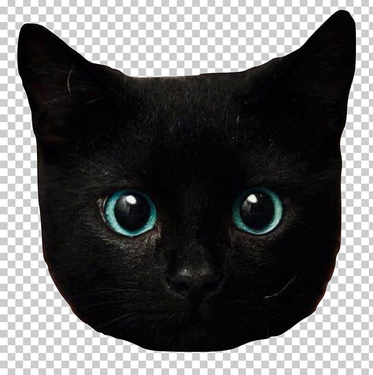 Kitten Eye Black Cat Bombay Cat British Longhair PNG, Clipart, Animal, Animals, Asian, Avatan, Avatan Plus Free PNG Download