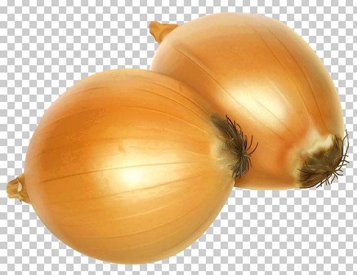 Onion PNG, Clipart, Cartoon, Clipart, Clip Art, Download, Encapsulated Postscript Free PNG Download