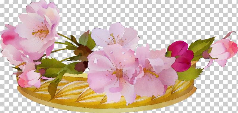 Cherry Blossom PNG, Clipart, Basket, Blossom, Branch, Cherry Blossom, Cut Flowers Free PNG Download
