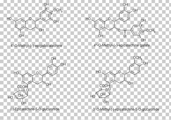 Chalcone Flavanone Aurone Flavonoid Chemical Substance PNG, Clipart, Acylation, Angle, Anthocyanin, Area, Auto Part Free PNG Download