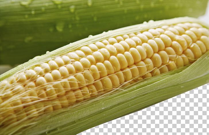 Corn On The Cob Maize Food Crops Google S PNG, Clipart, Article Corn, Cartoon Corn, Cereal, Commodity, Corn Free PNG Download