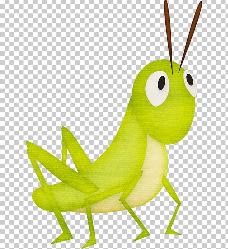 Open Grasshopper Insect PNG, Clipart, Computer, Download, Drawing, Grass, Grasshopper Free PNG Download