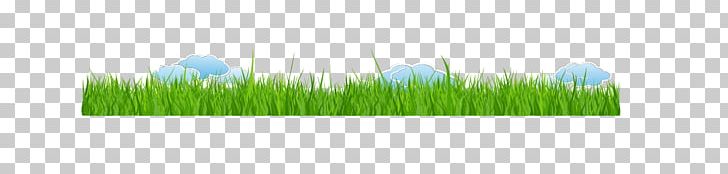 Wheatgrass Brand PNG, Clipart, Artificial Grass, Brand, Cartoon Grass, Computer, Computer Wallpaper Free PNG Download