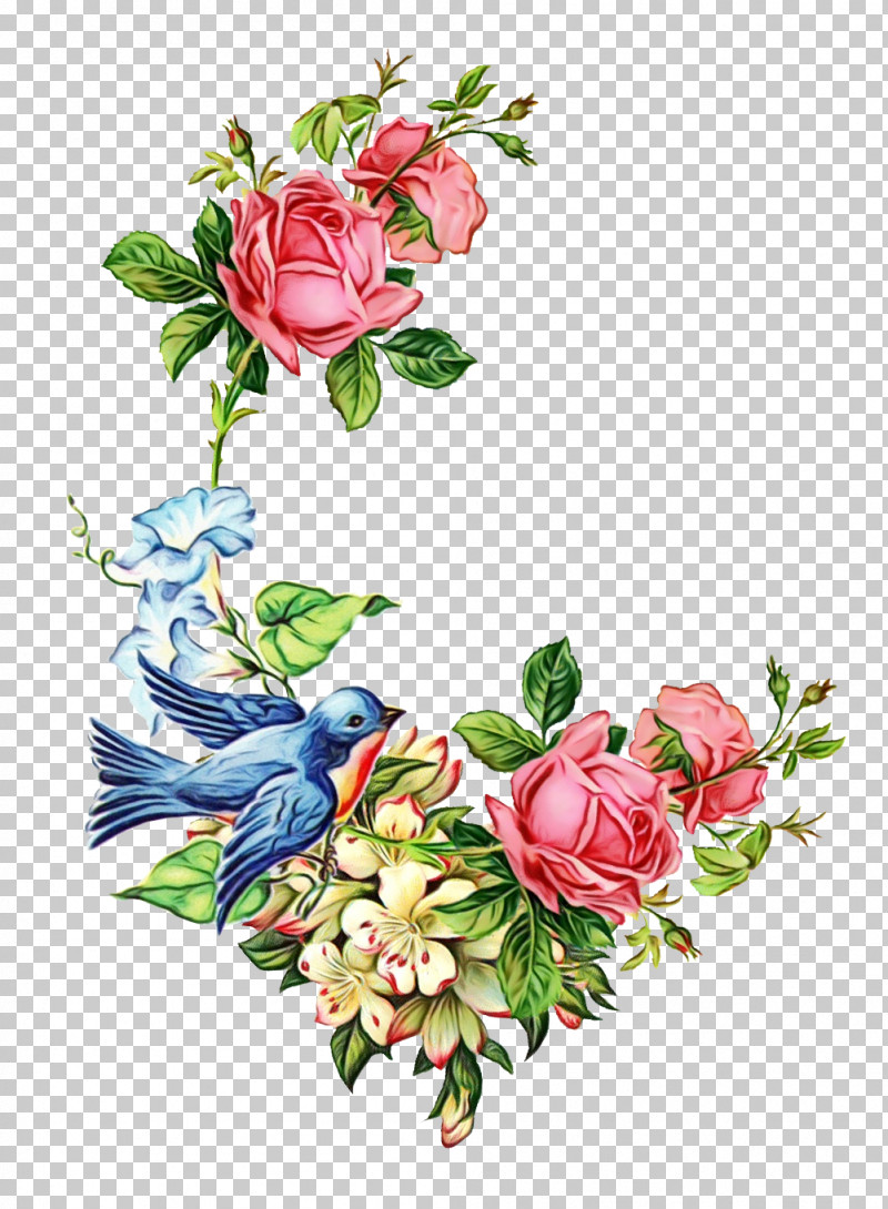 Garden Roses PNG, Clipart, Cabbage Rose, Cut Flowers, Floral Design, Flower, Flower Bouquet Free PNG Download