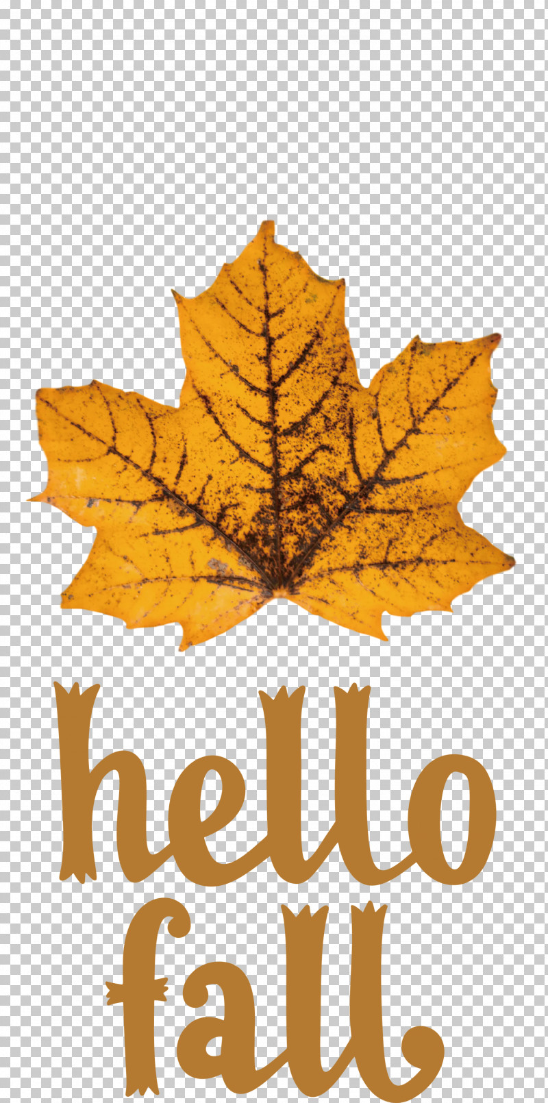 Hello Fall Fall Autumn PNG, Clipart, Autumn, Autumn Wreath, Craft, Fall, Hello Fall Free PNG Download
