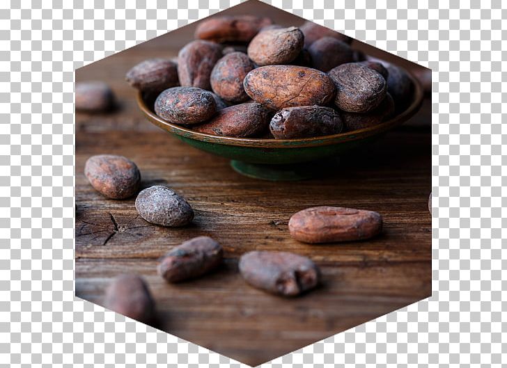 Cocoa Bean Chocolate Bar Theobroma Cacao Cocoa Solids PNG, Clipart, Bean, Chocolate, Chocolate Bar, Chocolate Cake, Chocolate Chip Free PNG Download