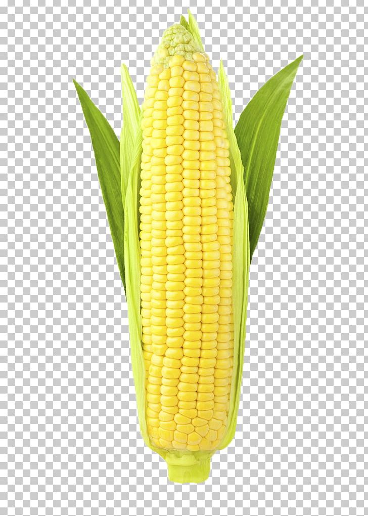 Corn On The Cob Ear Corncob Stock Photography Sweet Corn PNG, Clipart, Cartoon Corn, Commodity, Corn, Corn Cartoon, Corncob Free PNG Download