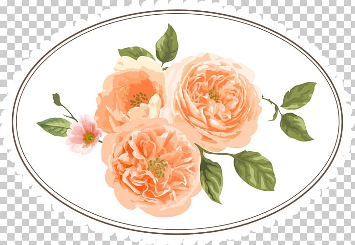 Garden Roses Flower PNG, Clipart, Beautiful, Botany, Cartoon, Circle, Cut Flowers Free PNG Download