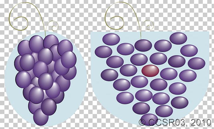 Grape PNG, Clipart, Compression, Fruit, Grape, Grapevine Family, Lilac Free PNG Download