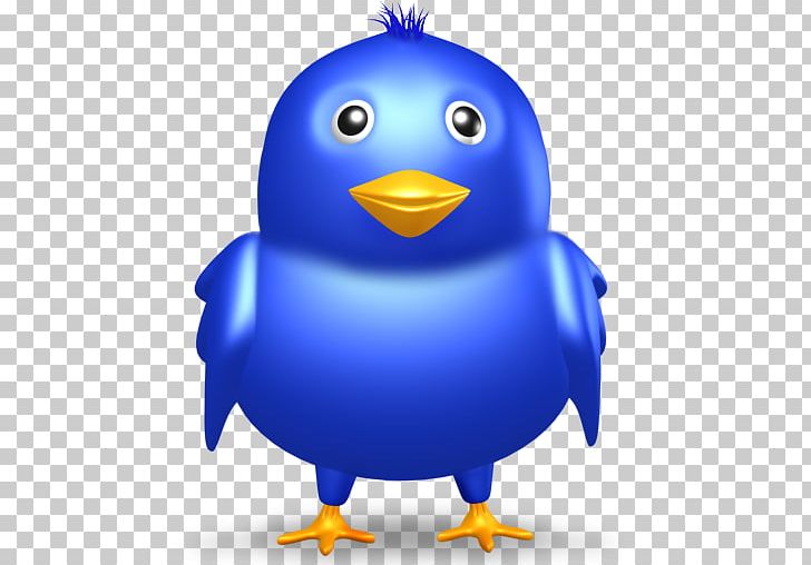 Computer Icons Bird Social Media PNG, Clipart, Animals, Beak, Bird, Bird Icon, Bookmark Free PNG Download