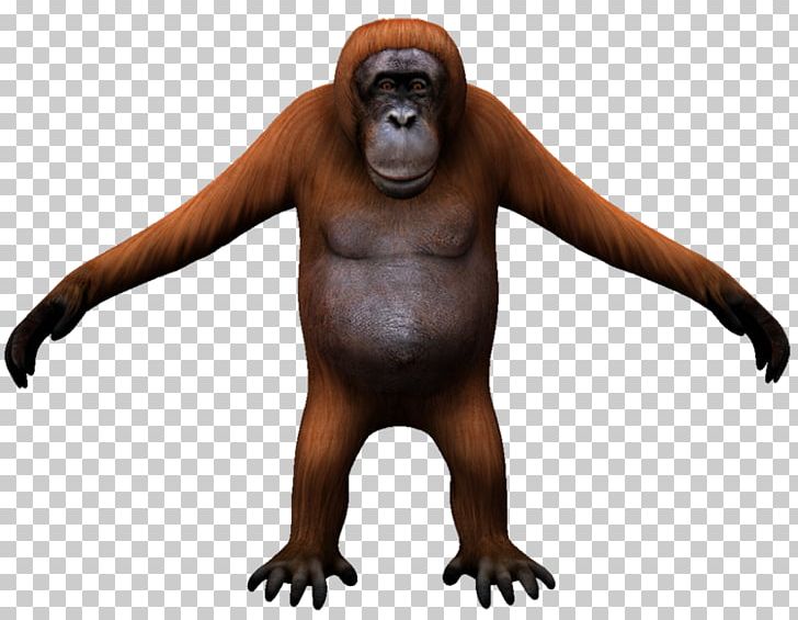 Gorilla Orangutan Monkey Carnivora Wildlife PNG, Clipart, 3 D Character, Aggression, Animal, Animal Figure, Animals Free PNG Download