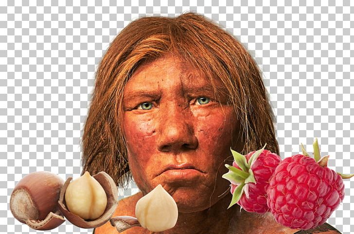 Neandertal Homo Sapiens Science Illustrated Karijoki PNG, Clipart, Diet Food, Eating, Education Science, Face, Food Free PNG Download