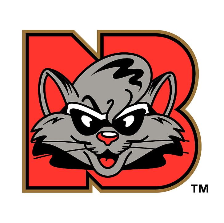 New Britain Rock Cats Logo PNG, Clipart, Adobe Illustrator, Art, Artwork, Baseball, Brand Free PNG Download