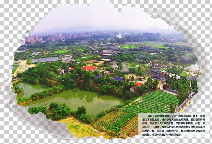 Urban Design Hill Station Water Resources Tree Bird's-eye View PNG, Clipart, Birdseye View, Birdseye View, City, Hill Station, Land Lot Free PNG Download
