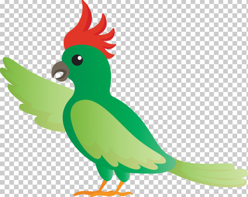 Rooster Parrots Macaw Chicken Beak PNG, Clipart, Animal Figurine, Beak, Biology, Bird Cartoon, Birds Free PNG Download